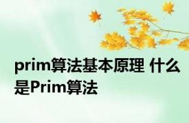 prim算法基本原理 什么是Prim算法