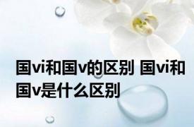 国vi和国v的区别 国vi和国v是什么区别