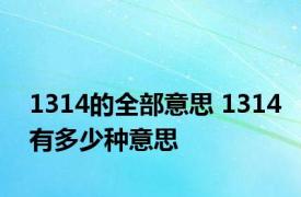 1314的全部意思 1314有多少种意思