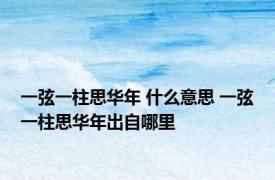 一弦一柱思华年 什么意思 一弦一柱思华年出自哪里