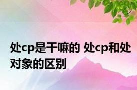 处cp是干嘛的 处cp和处对象的区别