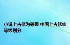 小说上古修为等级 中国上古修仙等级划分 