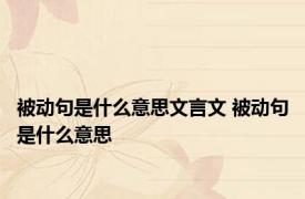 被动句是什么意思文言文 被动句是什么意思 