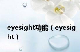 eyesight功能（eyesight）