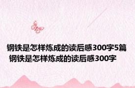 钢铁是怎样炼成的读后感300字5篇 钢铁是怎样炼成的读后感300字