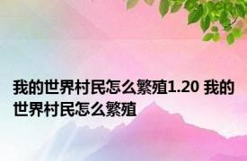 我的世界村民怎么繁殖1.20 我的世界村民怎么繁殖 