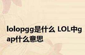 lolopgg是什么 LOL中gap什么意思