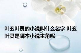 叶玄叶灵的小说叫什么名字 叶玄叶灵是哪本小说主角呢