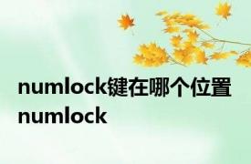 numlock键在哪个位置 numlock 