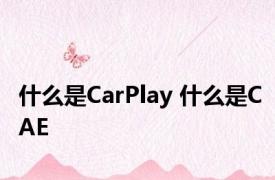 什么是CarPlay 什么是CAE