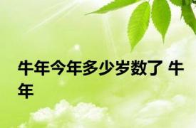 牛年今年多少岁数了 牛年 