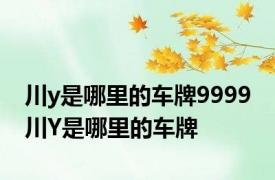 川y是哪里的车牌9999 川Y是哪里的车牌