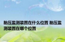 胎压监测装置在什么位置 胎压监测装置在哪个位置