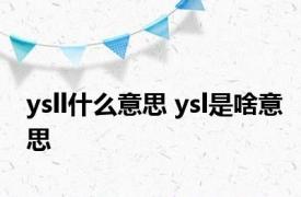 ysll什么意思 ysl是啥意思