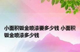 小面积钣金喷漆要多少钱 小面积钣金喷漆多少钱 