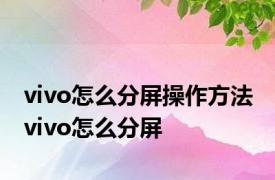 vivo怎么分屏操作方法 vivo怎么分屏