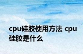 cpu硅胶使用方法 cpu硅胶是什么 