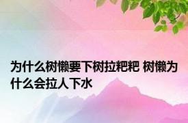 为什么树懒要下树拉粑粑 树懒为什么会拉人下水