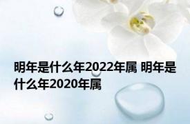 明年是什么年2022年属 明年是什么年2020年属 