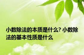 小数除法的本质是什么? 小数除法的基本性质是什么