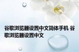 谷歌浏览器设置中文简体手机 谷歌浏览器设置中文 