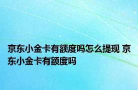 京东小金卡有额度吗怎么提现 京东小金卡有额度吗 