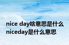 nice day啥意思是什么 niceday是什么意思