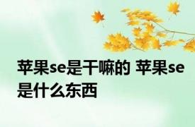 苹果se是干嘛的 苹果se是什么东西