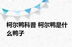 柯尔鸭科普 柯尔鸭是什么鸭子