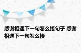 感谢相遇下一句怎么接句子 感谢相遇下一句怎么接 