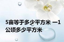 5亩等于多少平方米 一1公顷多少平方米