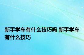 新手学车有什么技巧吗 新手学车有什么技巧