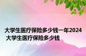 大学生医疗保险多少钱一年2024 大学生医疗保险多少钱 