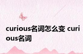 curious名词怎么变 curious名词 