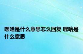 嘿哈是什么意思怎么回复 嘿哈是什么意思 