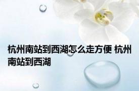 杭州南站到西湖怎么走方便 杭州南站到西湖 