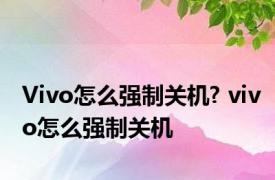 Vivo怎么强制关机? vivo怎么强制关机 