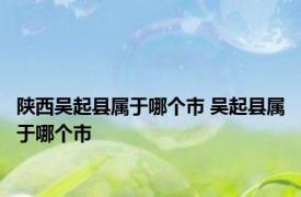 陕西吴起县属于哪个市 吴起县属于哪个市