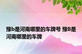 豫b是河南哪里的车牌号 豫B是河南哪里的车牌