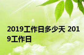 2019工作日多少天 2019工作日 