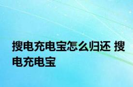 搜电充电宝怎么归还 搜电充电宝 