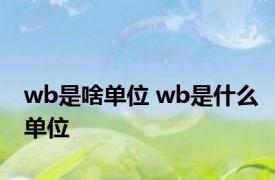 wb是啥单位 wb是什么单位