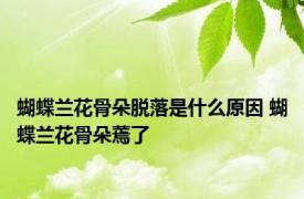 蝴蝶兰花骨朵脱落是什么原因 蝴蝶兰花骨朵蔫了 