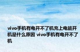 vivo手机有电开不了机充上电能开机是什么原因 vivo手机有电开不了机 