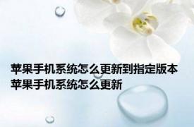 苹果手机系统怎么更新到指定版本 苹果手机系统怎么更新