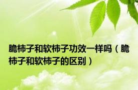 脆柿子和软柿子功效一样吗（脆柿子和软柿子的区别）