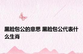 黑脸包公的意思 黑脸包公代表什么生肖