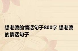 想老婆的情话句子800字 想老婆的情话句子