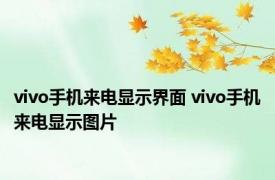 vivo手机来电显示界面 vivo手机来电显示图片 