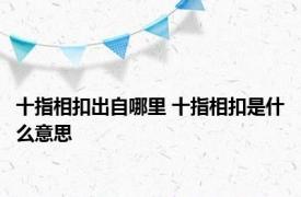 十指相扣出自哪里 十指相扣是什么意思